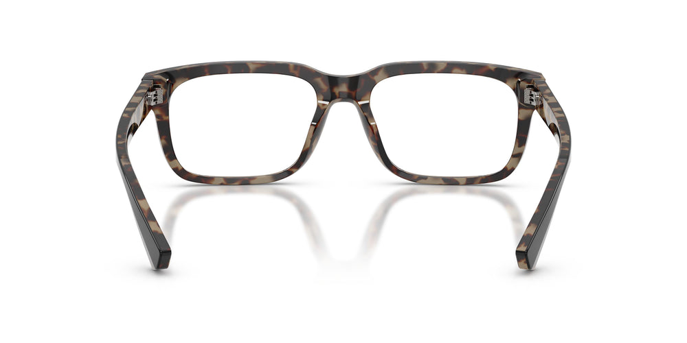 Dolce & Gabbana DG3432 3417 56