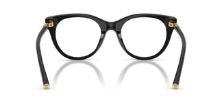 Dolce & Gabbana DG3433 501 51