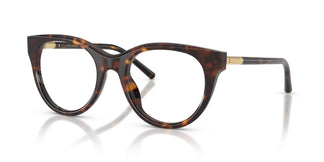 Dolce & Gabbana DG3433 502 51