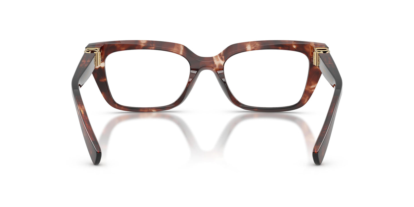 Dolce & Gabbana DG3436 3222 53