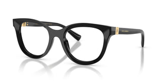 Dolce & Gabbana DG3437 501 51