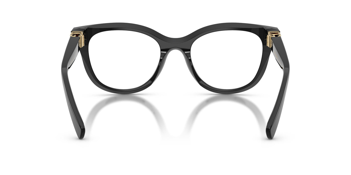 Dolce & Gabbana DG3437 501 51