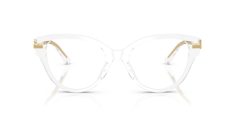Dolce & Gabbana DG3438 3133 53
