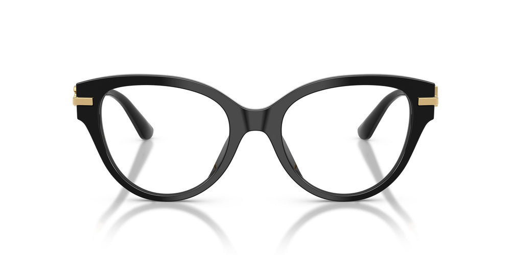Dolce & Gabbana DG3438 501 53