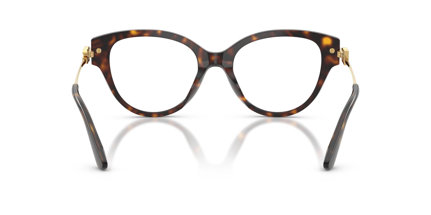 Dolce & Gabbana DG3438 502 53