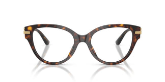 Dolce & Gabbana DG3438 502 51