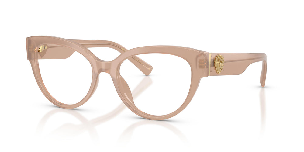 Dolce & Gabbana DG3440 3042 54