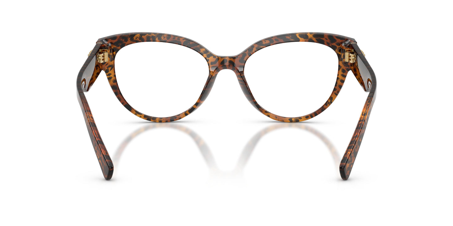 Dolce & Gabbana DG3440 3470 54