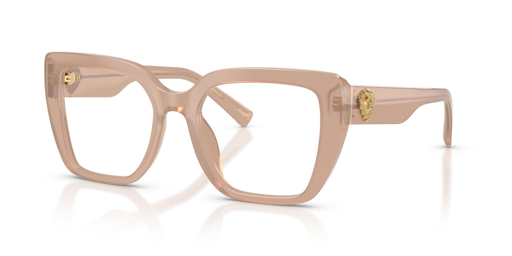 Dolce & Gabbana DG3441 3042 53