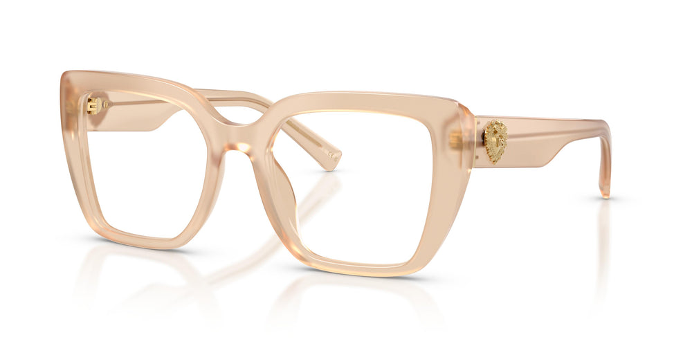 Dolce & Gabbana DG3441 3089 53