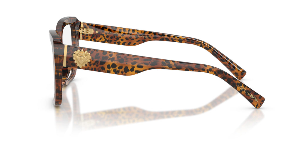 Dolce & Gabbana DG3441 3470 53