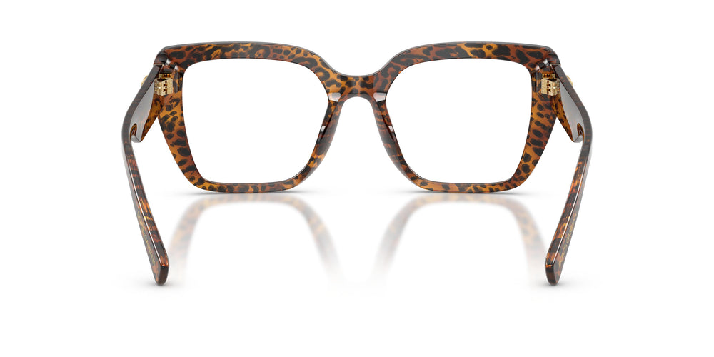 Dolce & Gabbana DG3441 3470 53