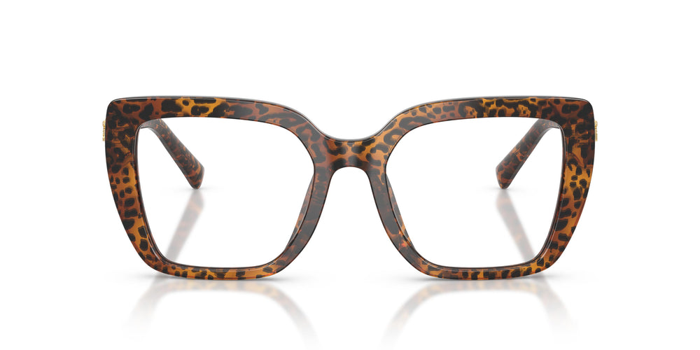 Dolce & Gabbana DG3441 3470 53