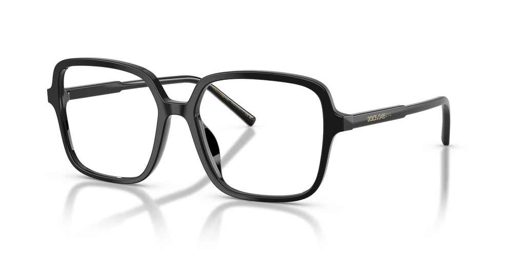 Dolce & Gabbana DG3442 501 55