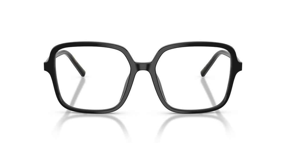 Dolce & Gabbana DG3442 501 53