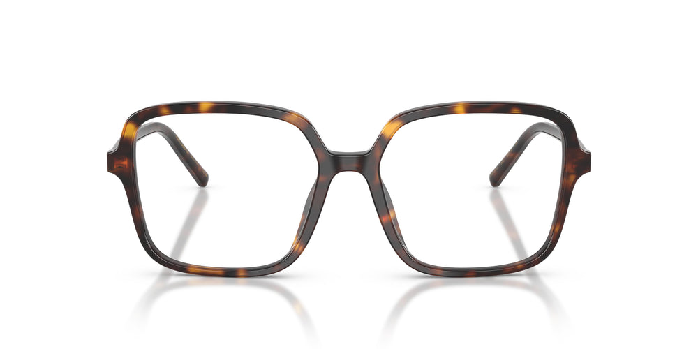 Dolce & Gabbana DG3442 502 53
