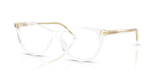 Dolce & Gabbana DG3443 3133 53