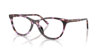Dolce & Gabbana DG3443 3477 53