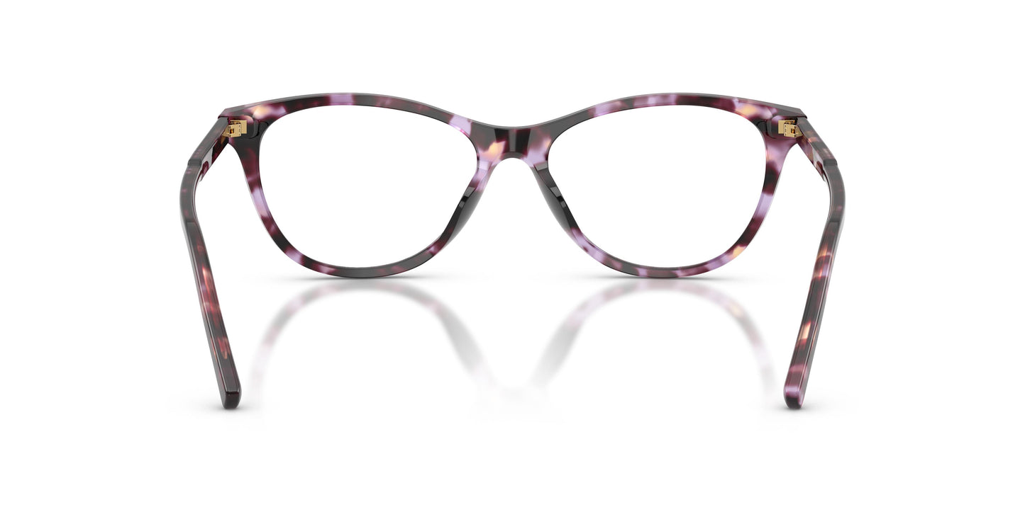 Dolce & Gabbana DG3443 3477 53