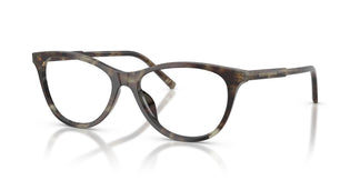 Dolce & Gabbana DG3443 3478 53