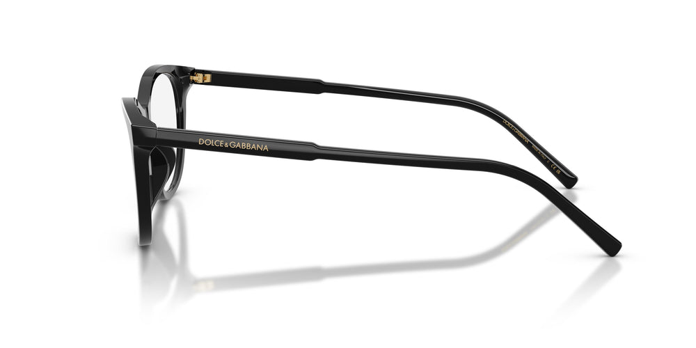 Dolce & Gabbana DG3443 501 53