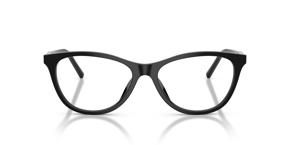 Dolce & Gabbana DG3443 501 53