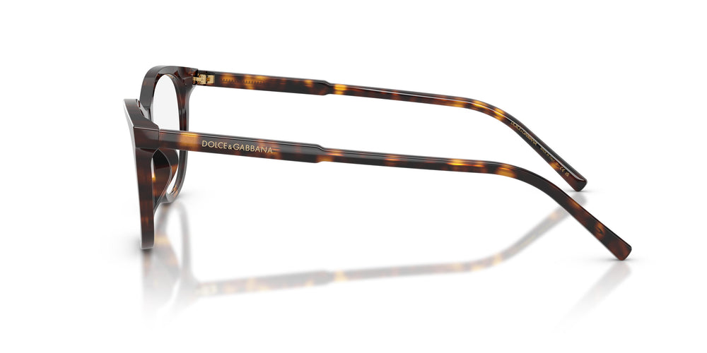 Dolce & Gabbana DG3443 502 53