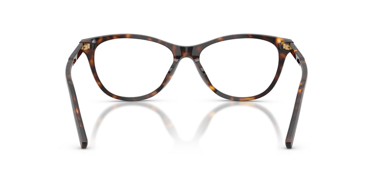 Dolce & Gabbana DG3443 502 55