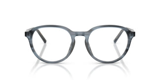 Dolce & Gabbana DG3444 3482 52