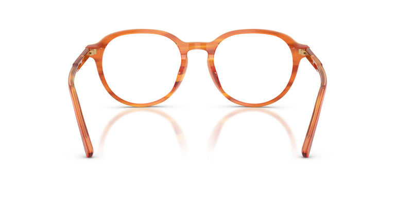 Dolce & Gabbana DG3444 3483 50