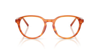 Dolce & Gabbana DG3444 3483 50