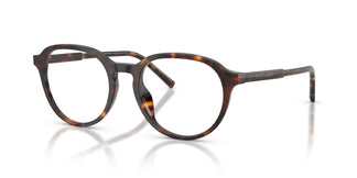 Dolce & Gabbana DG3444 502 50