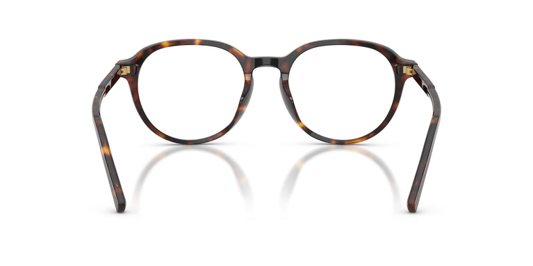 Dolce & Gabbana DG3444 502 50