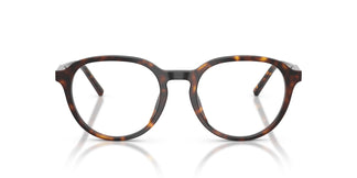 Dolce & Gabbana DG3444 502 50