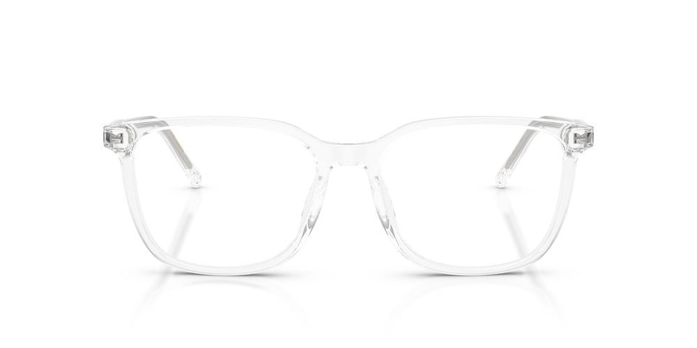 Dolce & Gabbana DG3445 3133 53