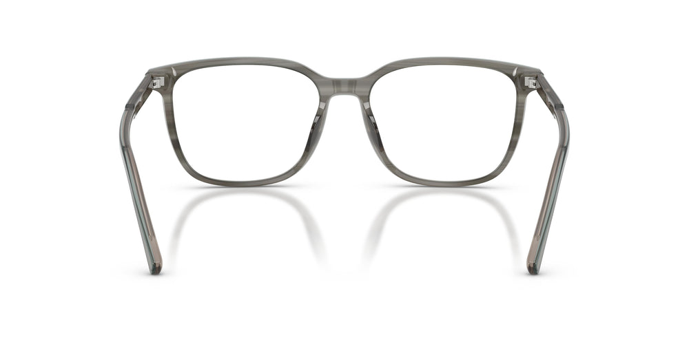 Dolce & Gabbana DG3445 3479 55