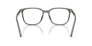 Dolce & Gabbana DG3445 3479 55