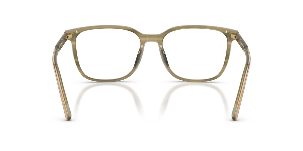Dolce & Gabbana DG3445 3480 53