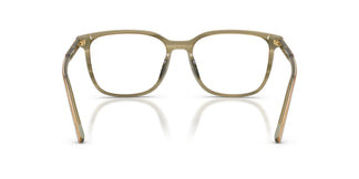 Dolce & Gabbana DG3445 3480 53