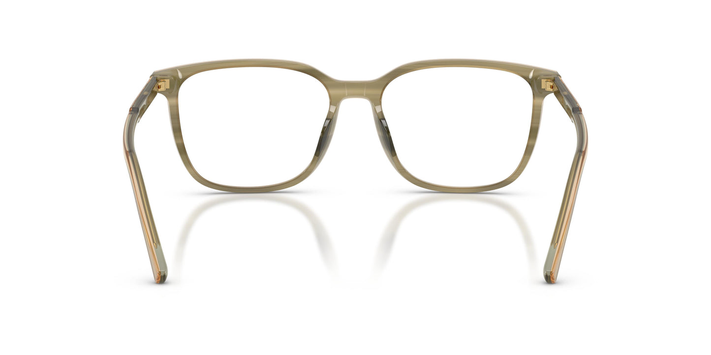 Dolce & Gabbana DG3445 3480 55