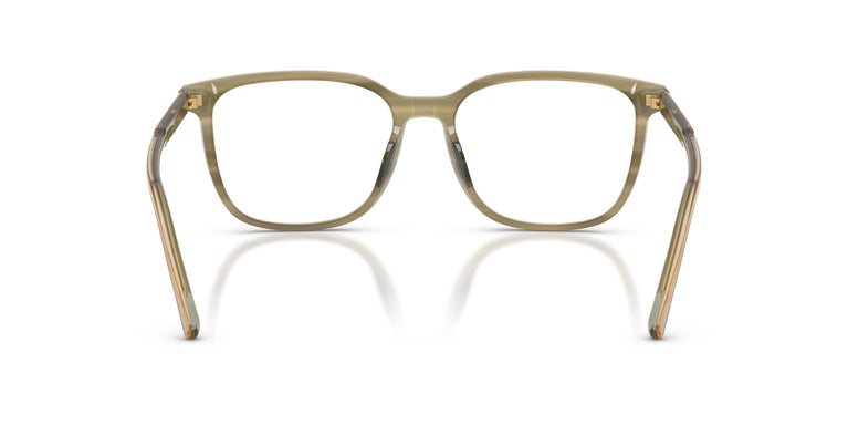 Dolce & Gabbana DG3445 3480 55