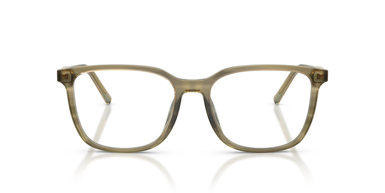 Dolce & Gabbana DG3445 3480 53