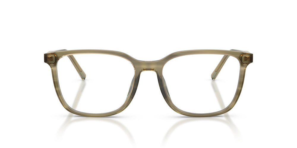 Dolce & Gabbana DG3445 3480 55