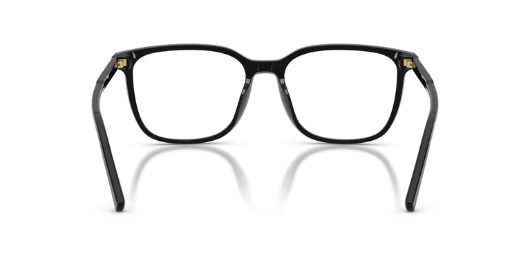 Dolce & Gabbana DG3445 501 53