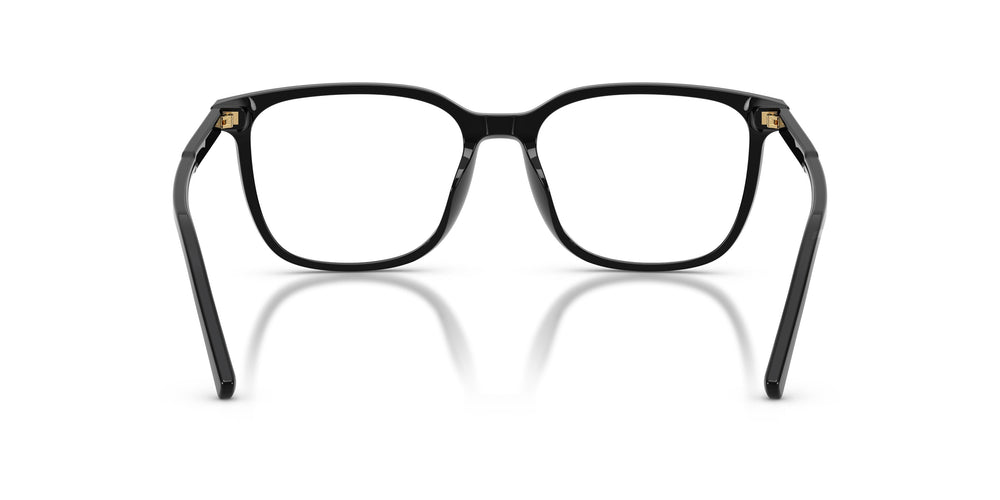 Dolce & Gabbana DG3445 501 55