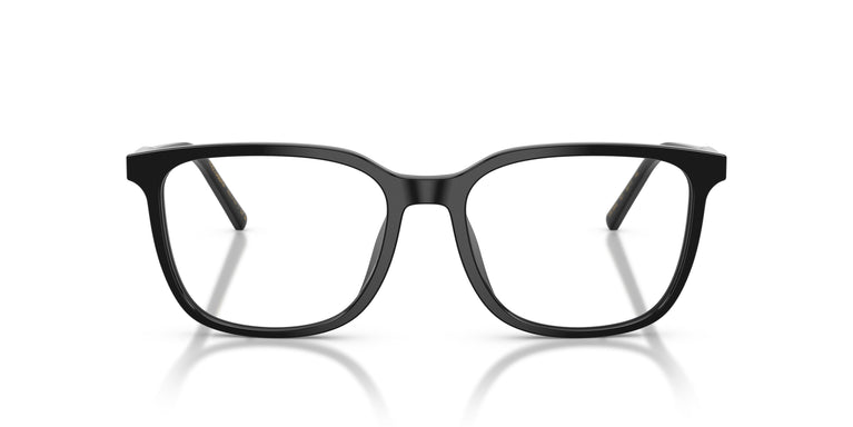 Dolce & Gabbana DG3445 501 53