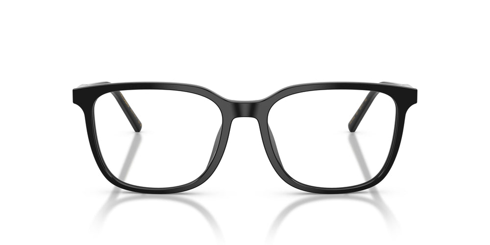 Dolce & Gabbana DG3445 501 55