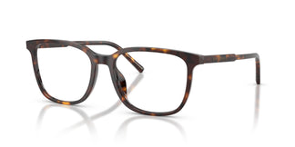Dolce & Gabbana DG3445 502 53