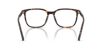 Dolce & Gabbana DG3445 502 53