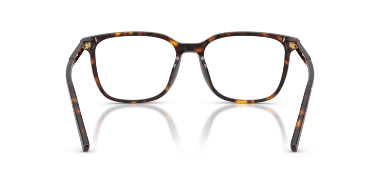 Dolce & Gabbana DG3445 502 53